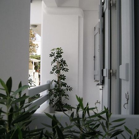 Aelia Apartments Naxos City エクステリア 写真
