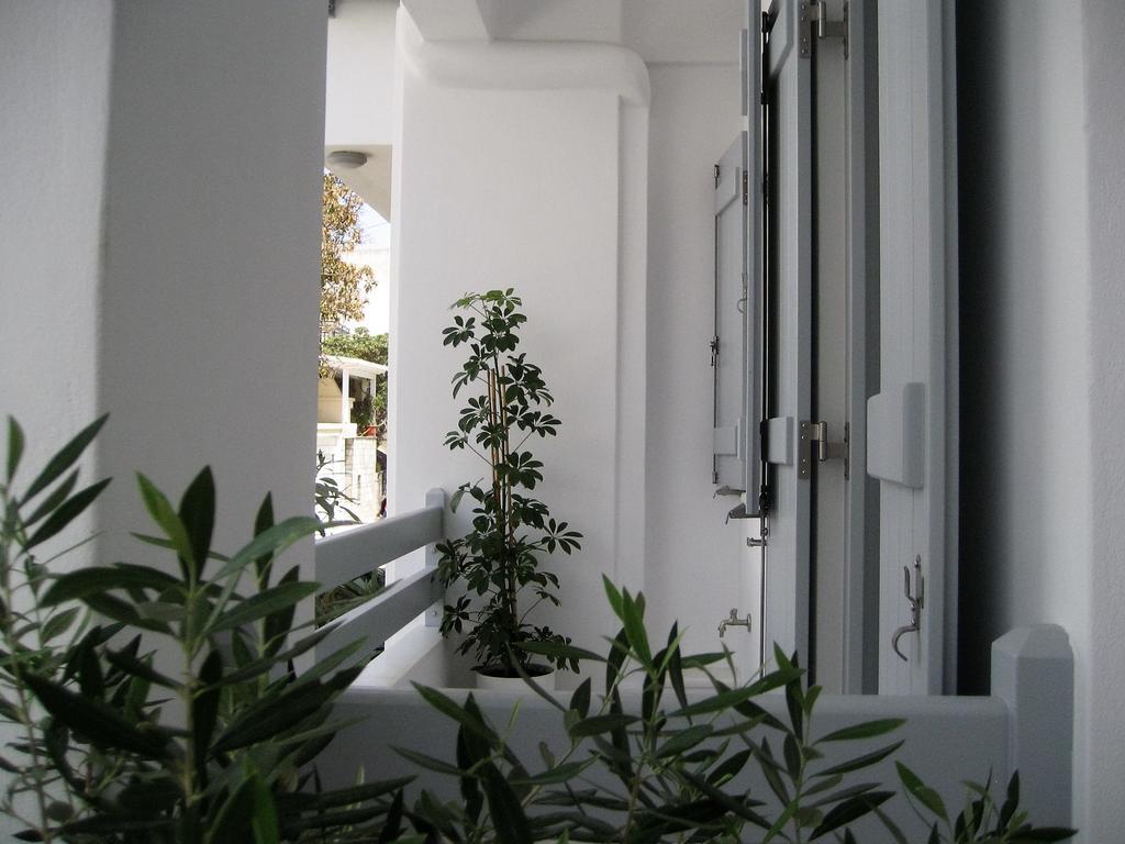 Aelia Apartments Naxos City エクステリア 写真